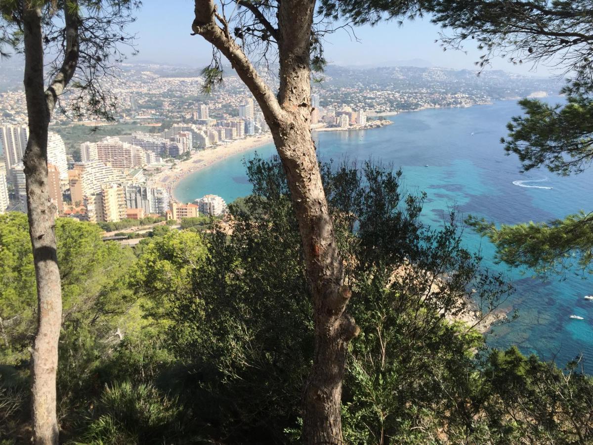Mesana 102 / Penthouse Lejlighed Calpe Eksteriør billede